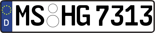 MS-HG7313