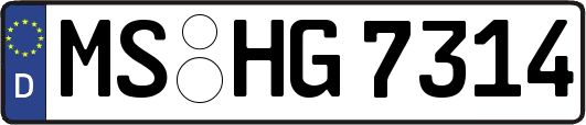 MS-HG7314