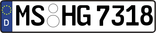 MS-HG7318