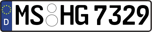 MS-HG7329