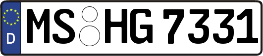 MS-HG7331