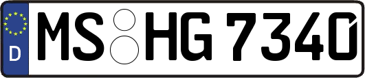 MS-HG7340