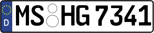 MS-HG7341
