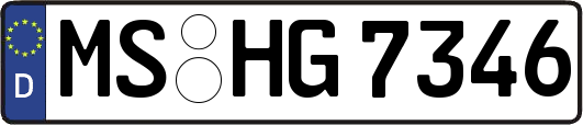 MS-HG7346