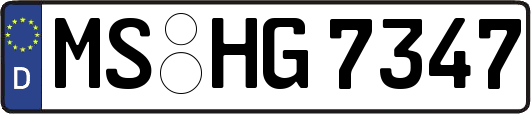 MS-HG7347