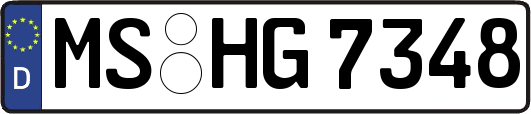 MS-HG7348