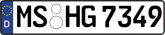 MS-HG7349