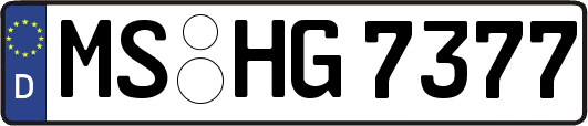 MS-HG7377