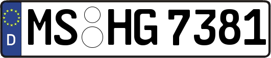 MS-HG7381