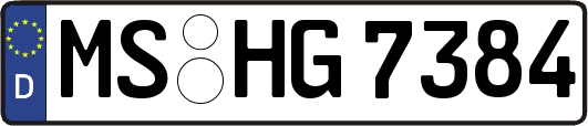MS-HG7384