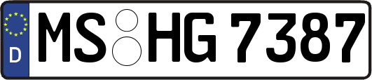 MS-HG7387