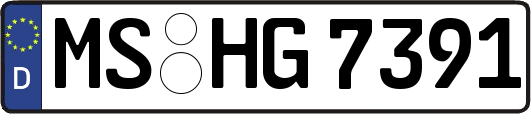 MS-HG7391