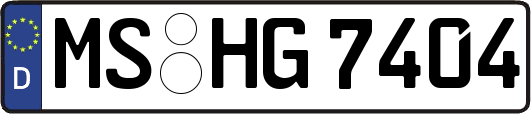 MS-HG7404