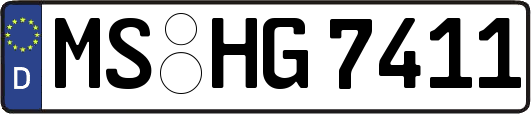 MS-HG7411