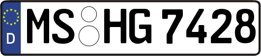MS-HG7428