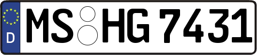 MS-HG7431