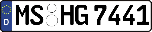 MS-HG7441