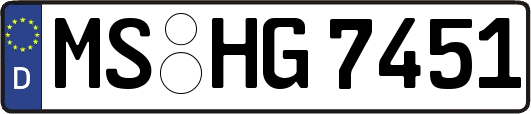 MS-HG7451