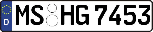 MS-HG7453