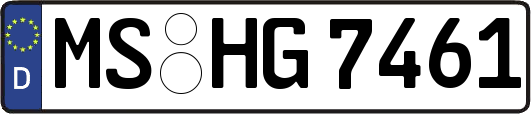 MS-HG7461