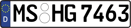 MS-HG7463