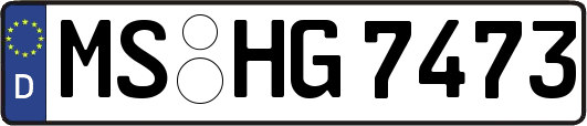 MS-HG7473