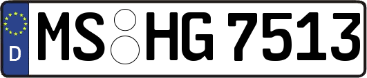 MS-HG7513