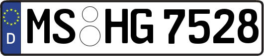 MS-HG7528