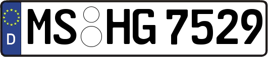 MS-HG7529