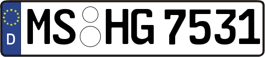 MS-HG7531