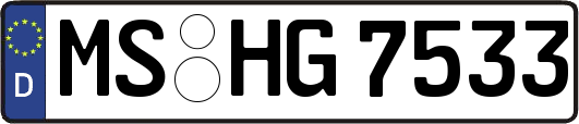 MS-HG7533