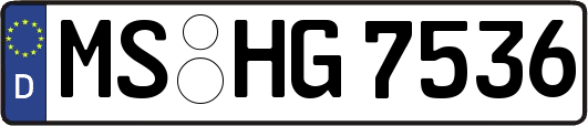 MS-HG7536