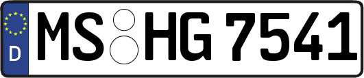 MS-HG7541