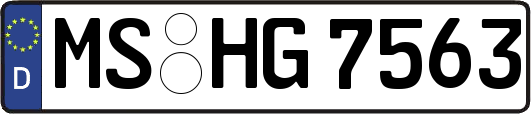 MS-HG7563