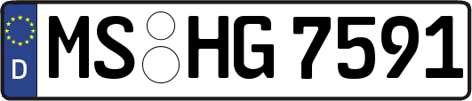 MS-HG7591