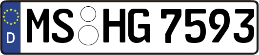 MS-HG7593