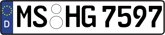 MS-HG7597