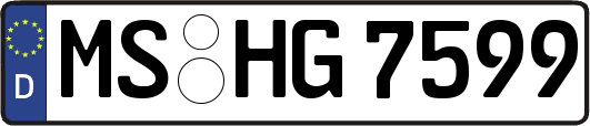 MS-HG7599
