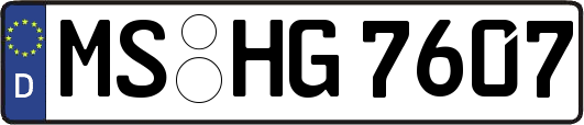 MS-HG7607