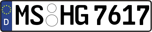 MS-HG7617