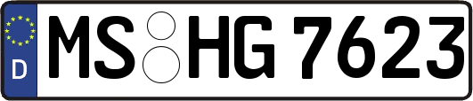 MS-HG7623