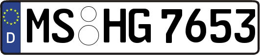 MS-HG7653