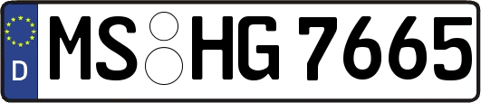 MS-HG7665
