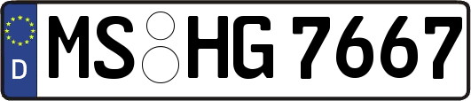 MS-HG7667