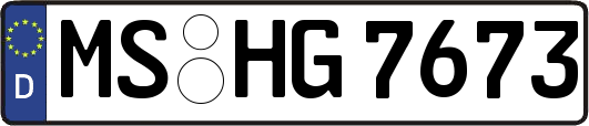 MS-HG7673