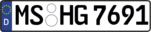 MS-HG7691