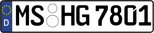 MS-HG7801