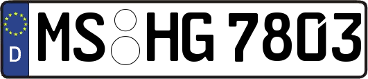 MS-HG7803