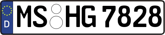 MS-HG7828