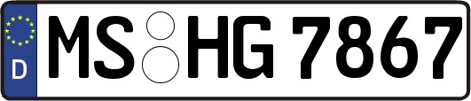 MS-HG7867